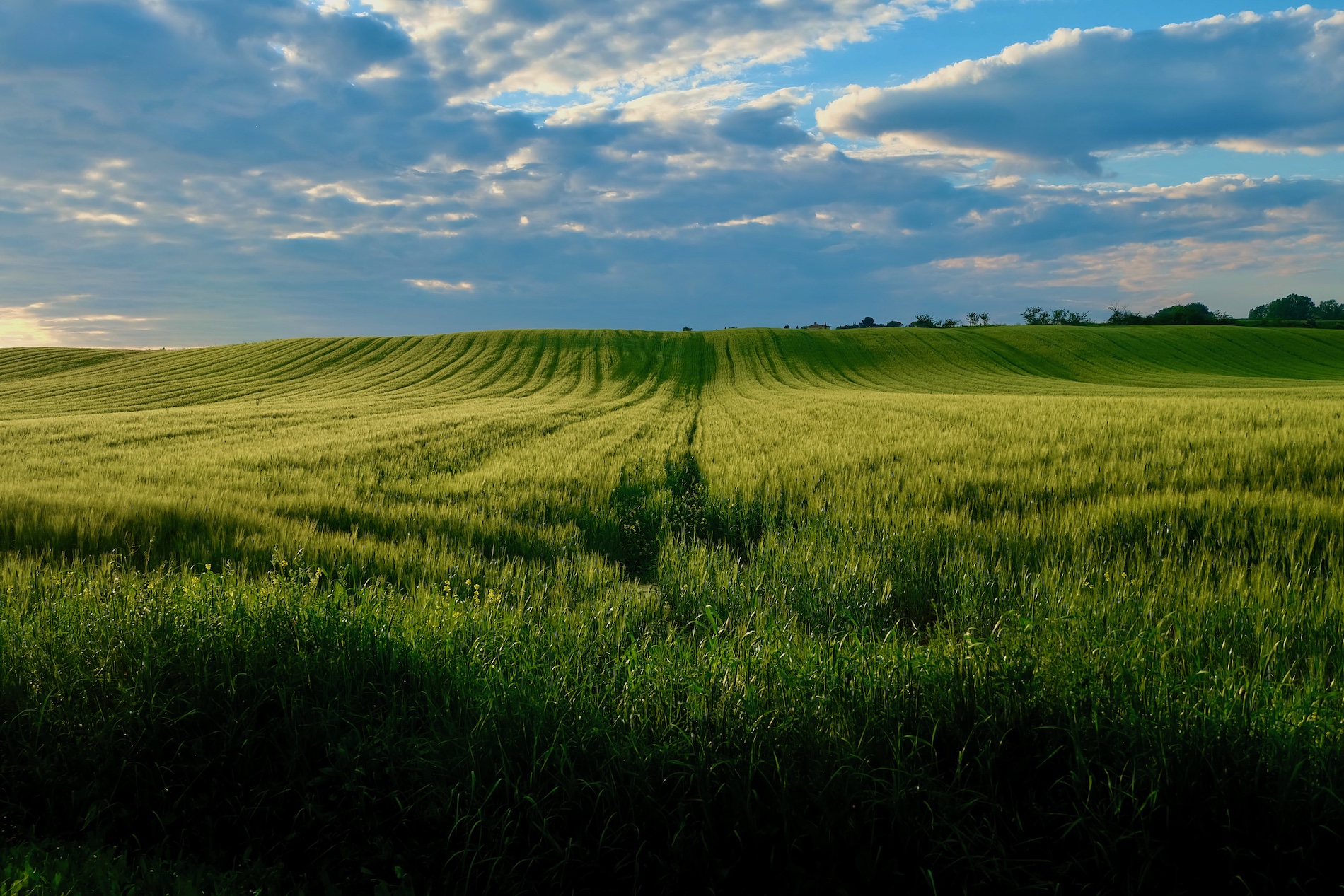 Landscape photography cover image